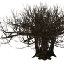 Tree 02