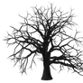 Tree 06