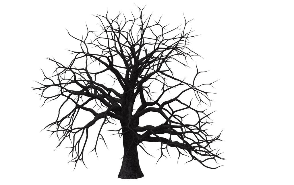 Tree 06 by Free-Stock-By-Wayne on DeviantArt