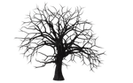 Tree 07