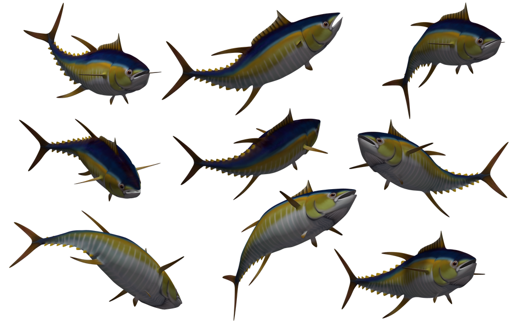 Fish - Tuna 02 by Free-Stock-By-Wayne