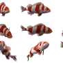 Fish Set 15