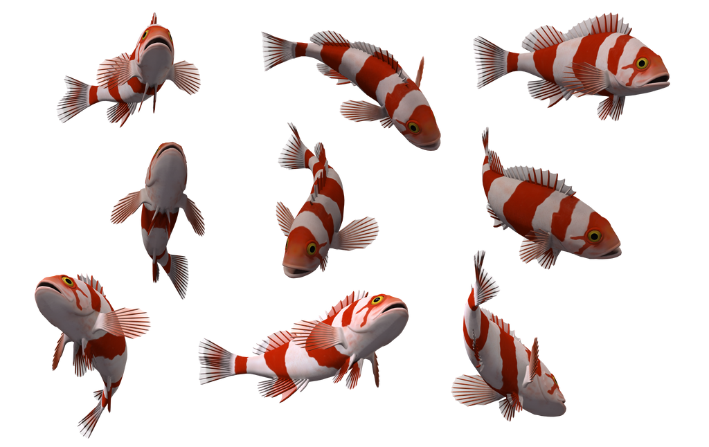 Fish Set 16 by Free-Stock-By-Wayne