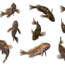 Fish Set 20