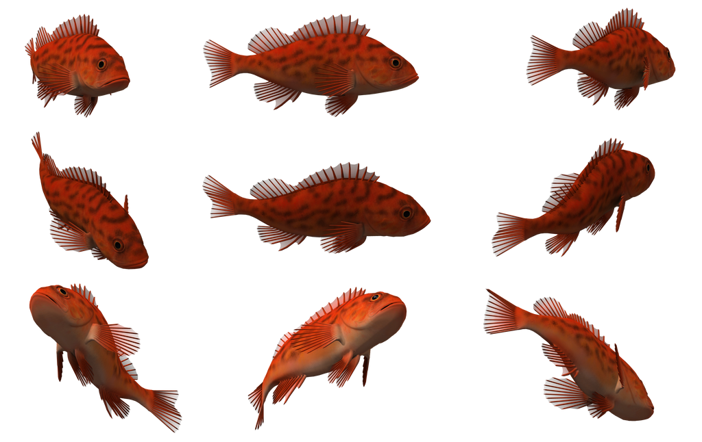 3 д рыбка. Спрайт рыбы. Рыбки 3д. Спрайт рыбы для игр. Рыба компьютерная Графика.