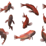 Fish Set 26