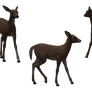 Deer - Fawn 10