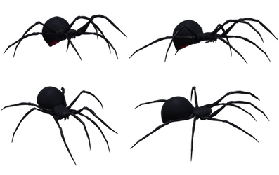 Black Widow Spider Set 03