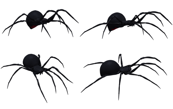 Black Widow Spider Set 03