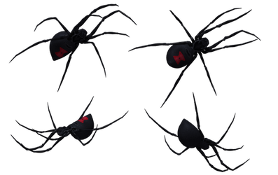 Black Widow Spider Set 05
