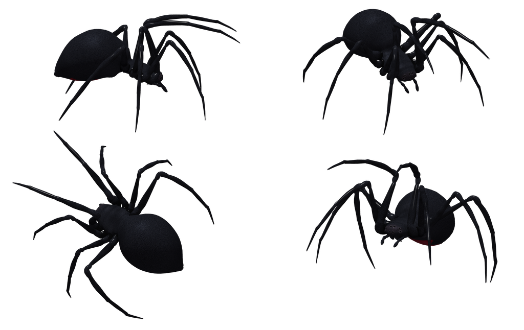 Black Widow Spider Set 06