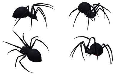 Black Widow Spider Set 06