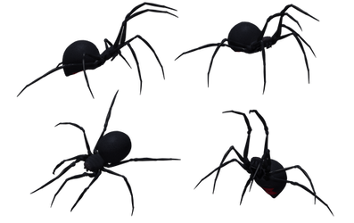 Black Widow Spider Set 07