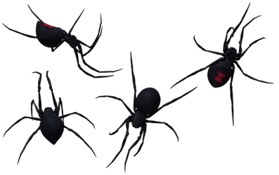 Black Widow Spider Set 08