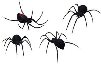 Black Widow Spider Set 09