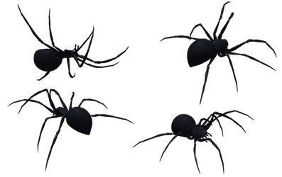Black Widow Spider Set 10