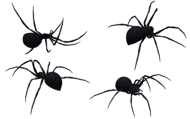 Black Widow Spider Set 10
