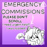 EMERGENCY COMMISSIONS