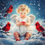 Winter Angel and the Cardinals