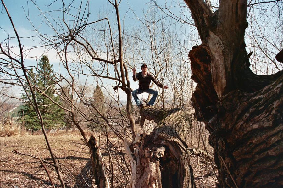 The Human Tree by kingbethos on DeviantArt