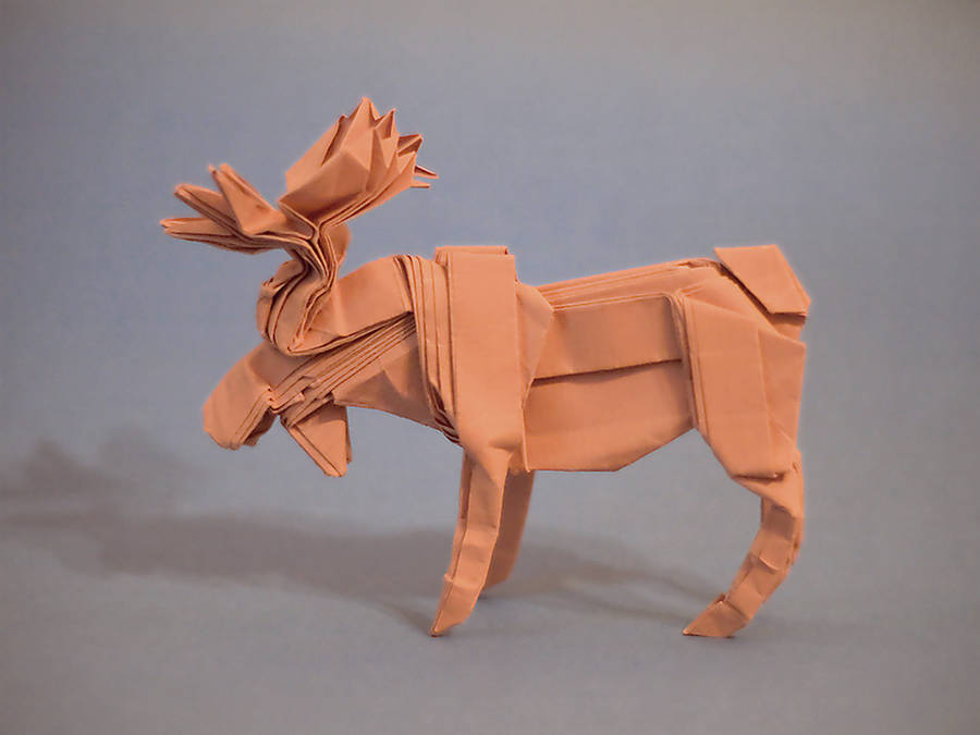 Moose by fireantz83
