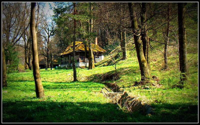 House in woods