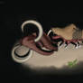 Prehistoric zoochososis coelodonta