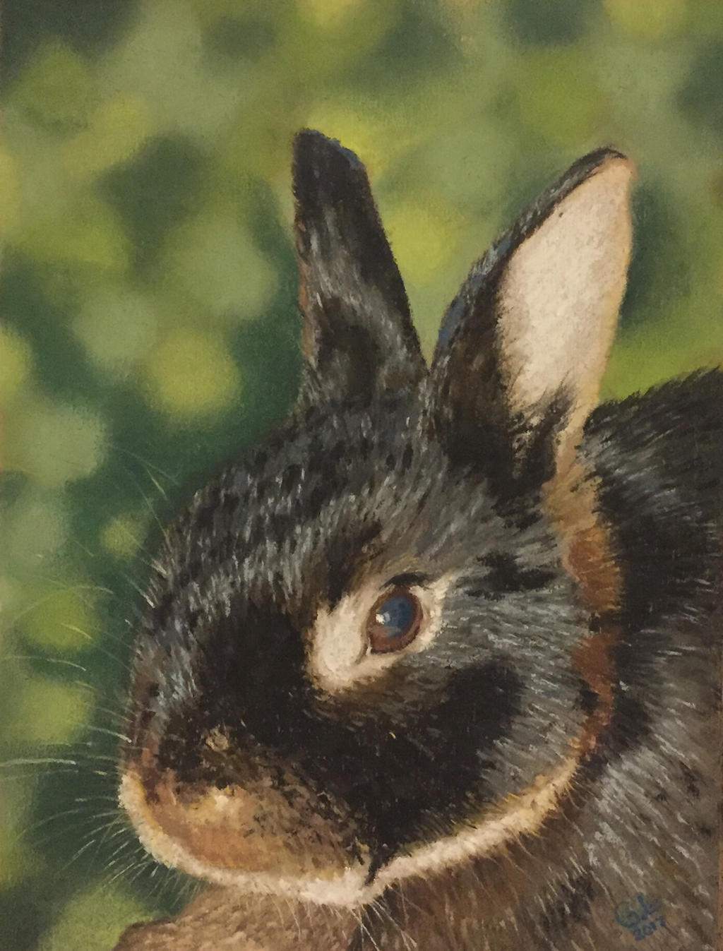 Gibble Art Rabbit Giotto the Rabbit by Glenpastel on DeviantArt