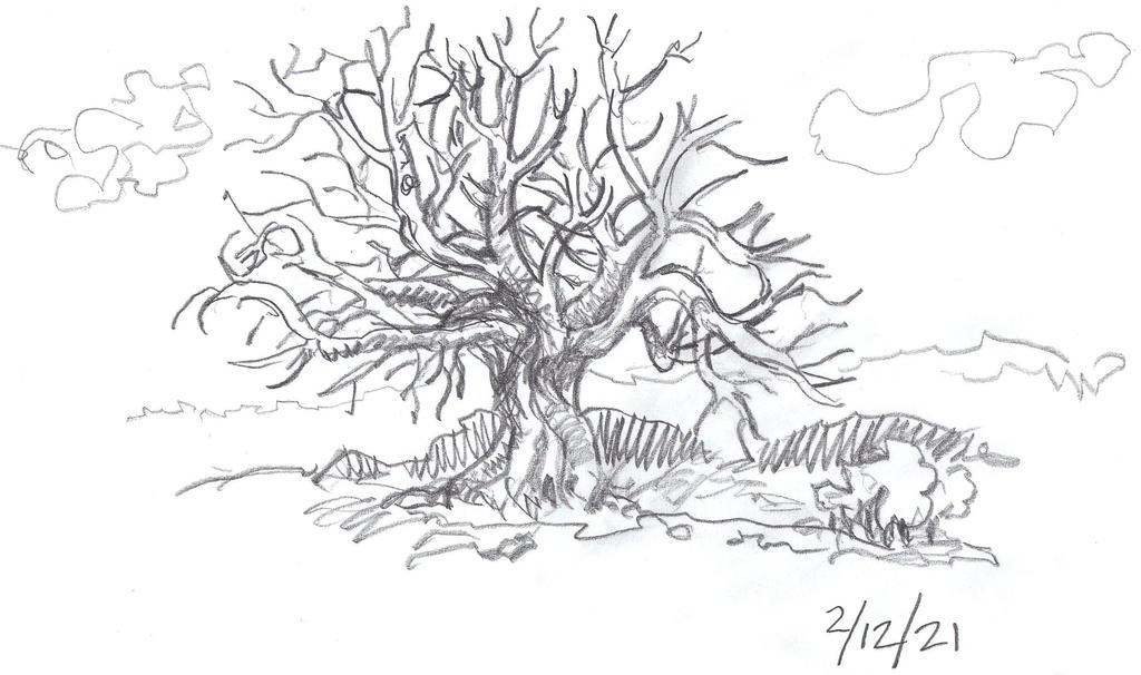 Tangled Tree Pattern Tangled Tree by PatternSeeker86 on DeviantArt