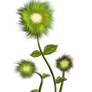painted flower PNG