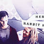 Warm Bodies Banner