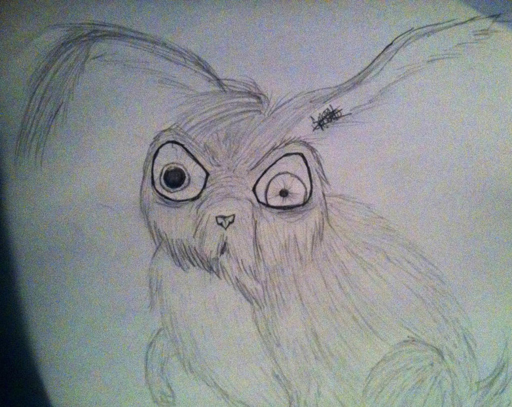 Mad Rabbit Mad Rabbit by CaptainCoonn on DeviantArt