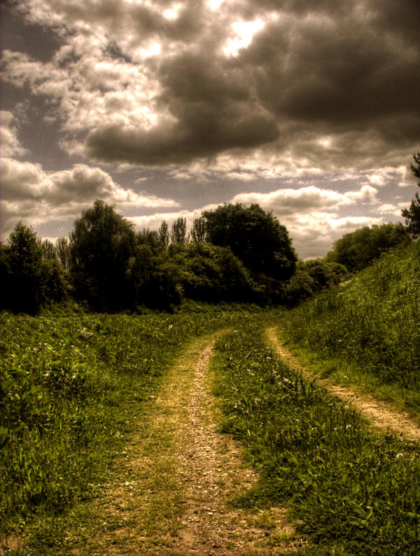 path n grass,stock by needanewname