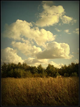 Autumn-ish landscape