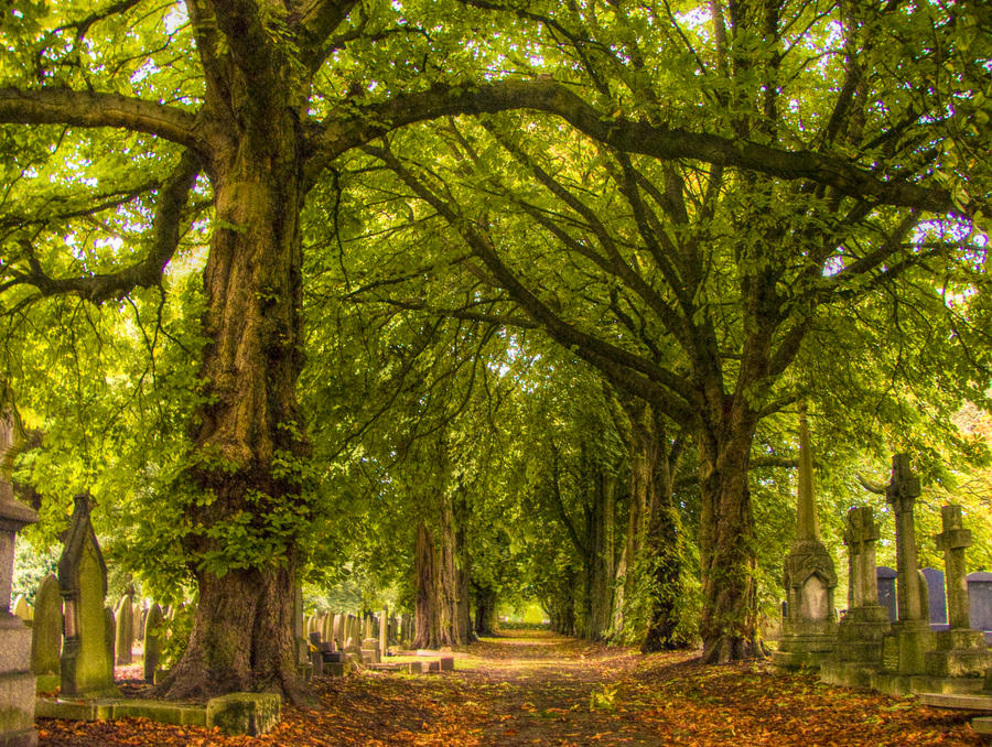 Path through Cemetery STOCK by needanewname on DeviantArt