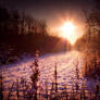STOCK: Sunset snow scence 3