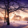 STOCK: Sunset snow scence 5