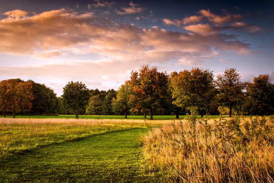 STOCK: Landscape, path, sky.