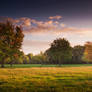 STOCK: Dawn in the countryside