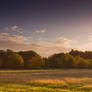 Stock: Rural field at dawn
