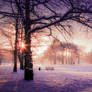 STOCK: Winter sunset 1