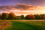 STOCK: Sunrise over a rural field by needanewname