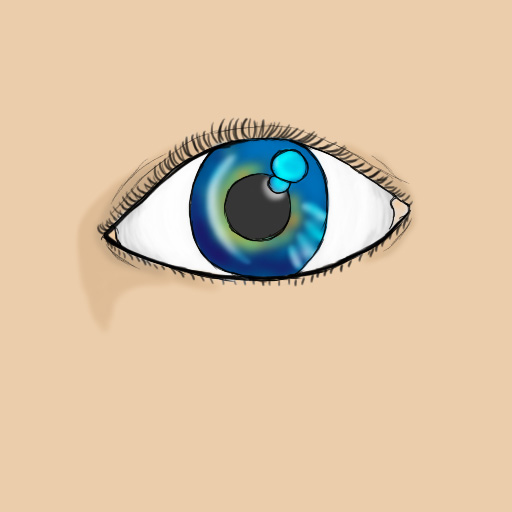 Eye