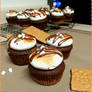 Smore's Cupcakes