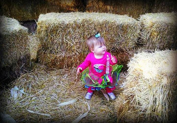 Straw Bale Maze