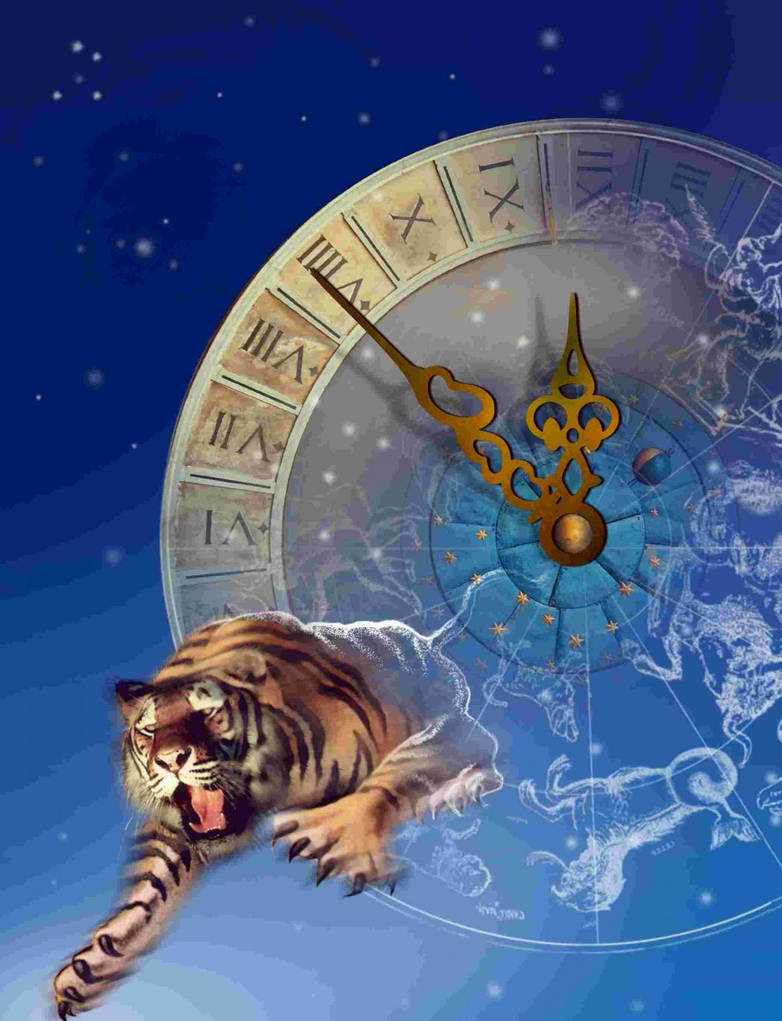 Гороскоп тигра весы. Год тигра. Тигр знак зодиака. Знаки зодиака в год тигра. 2022 Год год тигра.