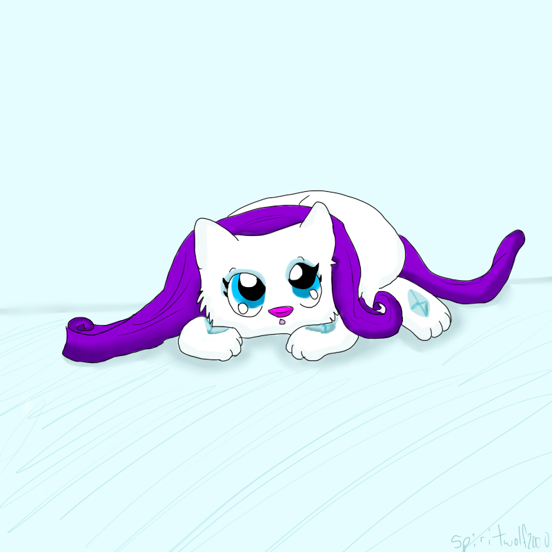 Baby rarity cat