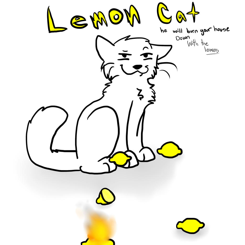 Lemon cat 0w0