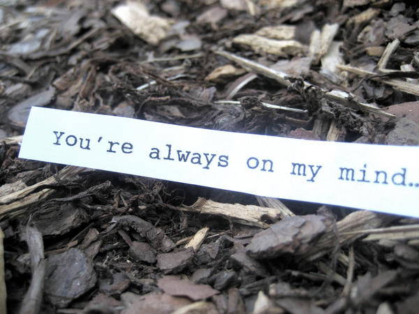 You're Always On My Mind. 3