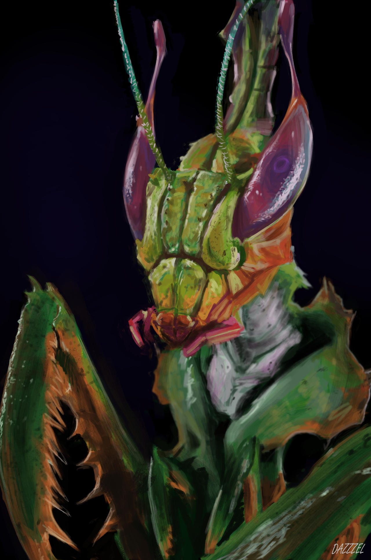 Mants Deviantart Mantis Study by DAZZZEL on DeviantArt